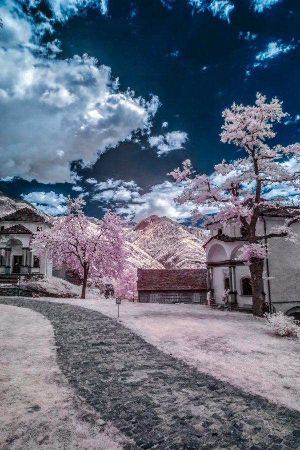 3° Edizione | GUIDA PRATICA PER LA FOTOGRAFIA INFRAROSSO: Impariamo a fotografare il mondo invisibile - immagine 4
