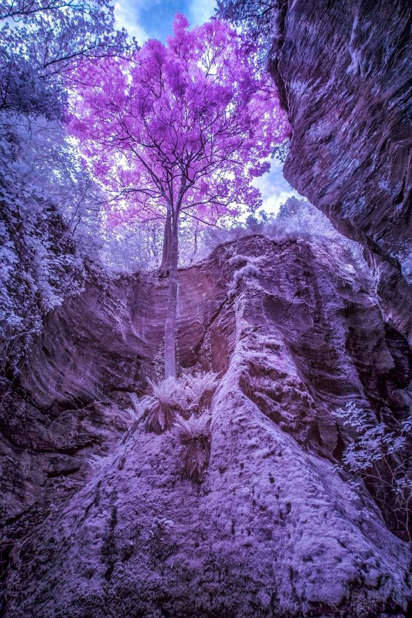 3° Edizione | GUIDA PRATICA PER LA FOTOGRAFIA INFRAROSSO: Impariamo a fotografare il mondo invisibile - immagine 9