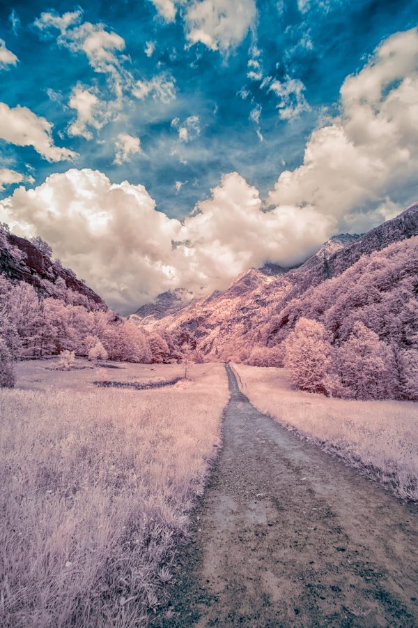 3° Edizione | GUIDA PRATICA PER LA FOTOGRAFIA INFRAROSSO: Impariamo a fotografare il mondo invisibile - immagine 7