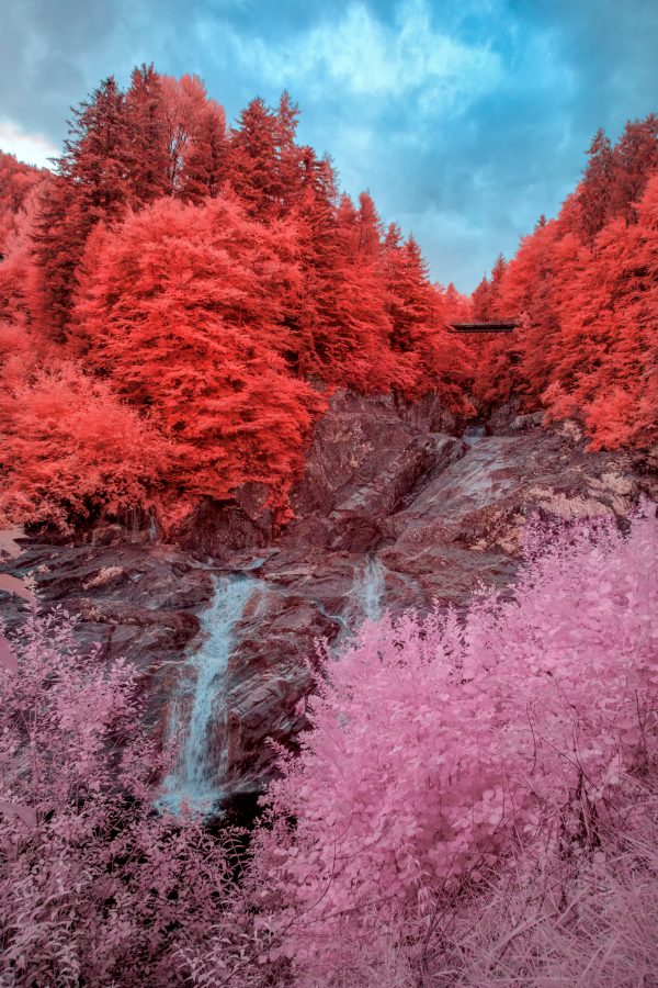 3° Edizione | GUIDA PRATICA PER LA FOTOGRAFIA INFRAROSSO: Impariamo a fotografare il mondo invisibile - immagine 6