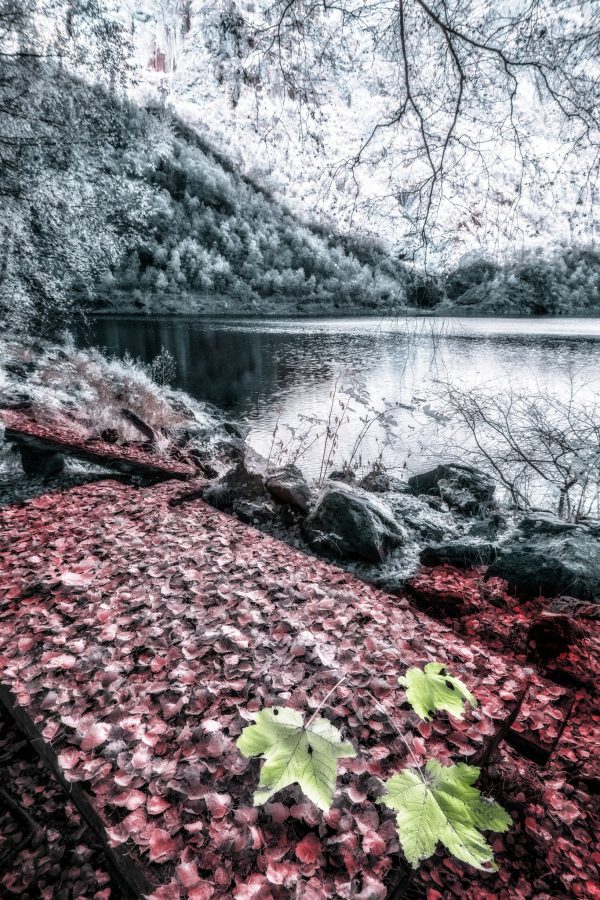 3° Edizione | GUIDA PRATICA PER LA FOTOGRAFIA INFRAROSSO: Impariamo a fotografare il mondo invisibile - immagine 10
