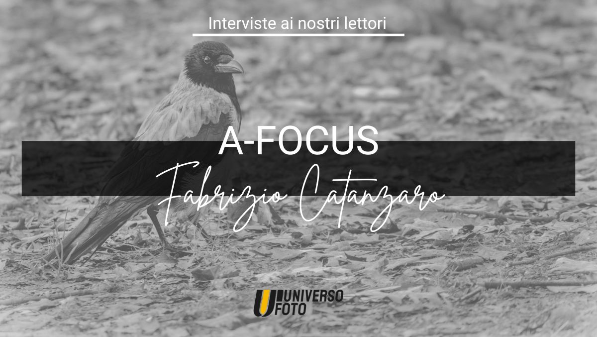 A-Focus, Interviste ai nostri lettori: Fabrizio Catanzaro