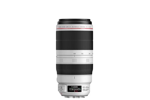 Canon EF 400mm f/2.8 L USM