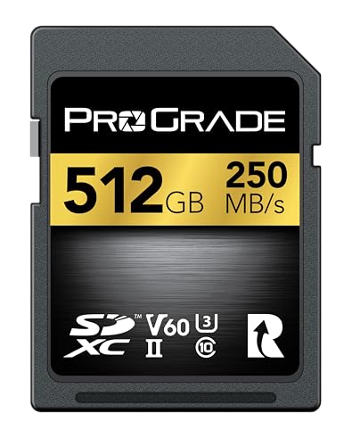 Scheda SD UHS-II da 512GB V60: velocità di scrittura fino a 130MB/s e velocità di lettura 250MB/s | Per professionisti, cineasti, fotografi e curatori di contenuti - Di Prograde Digital