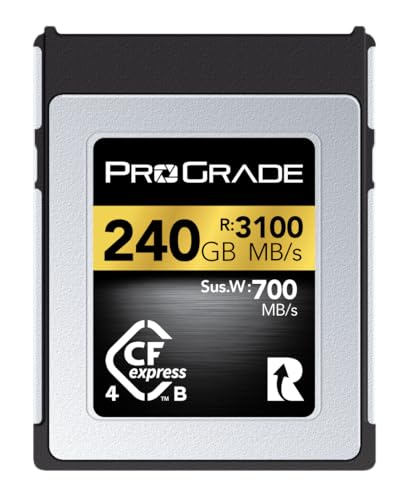 Scheda di Memoria ProGrade Digital 240GB CFexpress Tipo B (Oro)