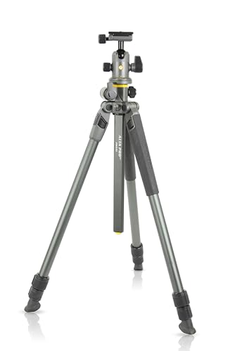 Vanguard Alta Pro 2+ 263AB 100 Treppiede per fotocamera
