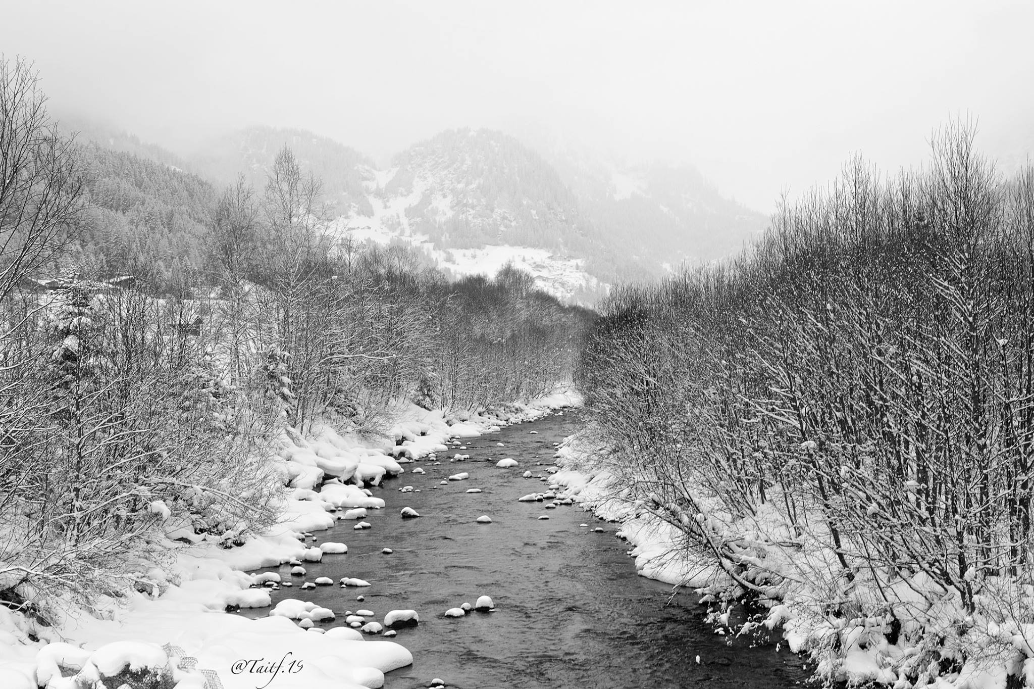 Nebbia, neve e fiume: quieta potenza della valle in bianco e nero