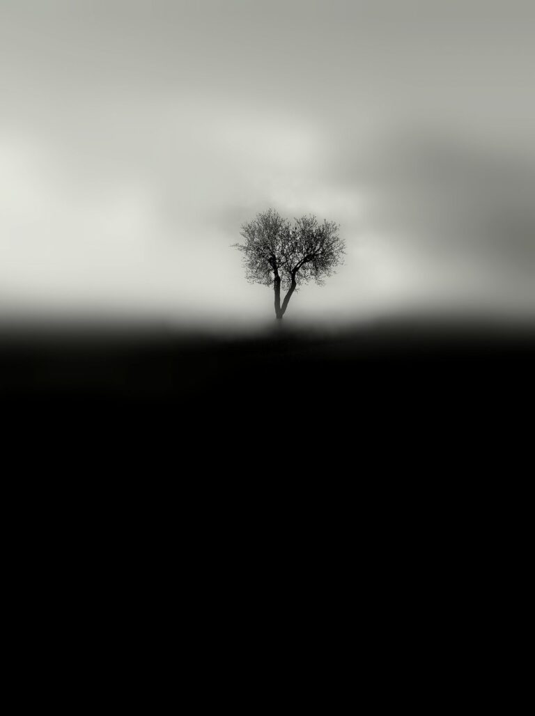 Solitudine silenziosa: un albero in una resa tonale vellutata