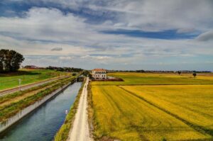 Risaie dorate: equilibrio tra canale, campi e edificio centrale