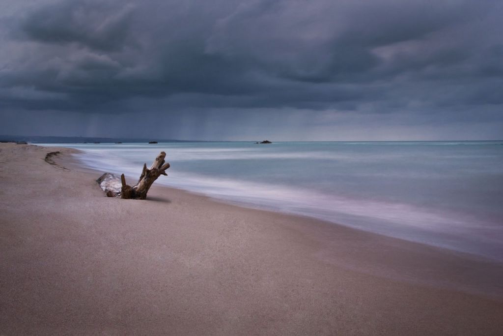 Il mare d’inverno: quieta forza, tronco e orizzonte in un respiro trattenuto