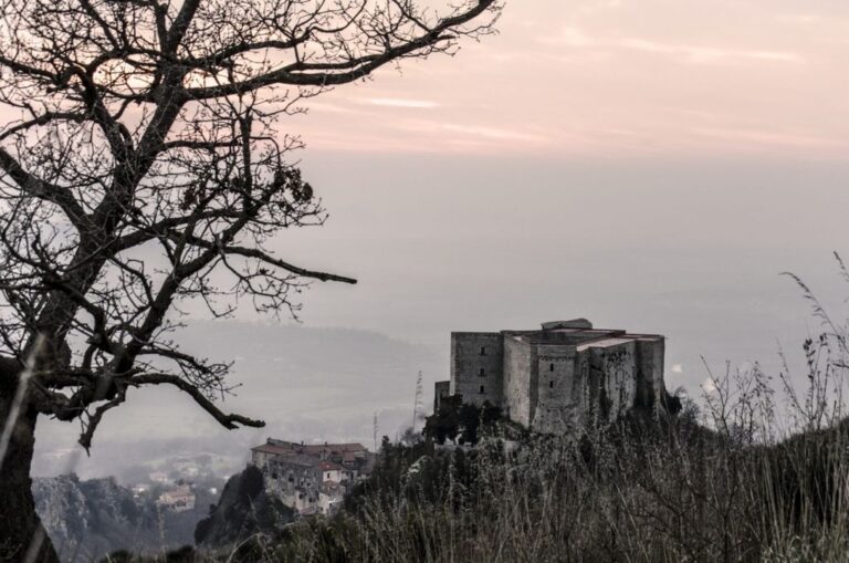 Castello tra rami e cielo: silenzio, distanza e storia, in bianco e nero filtrato dall’alba crepuscolare