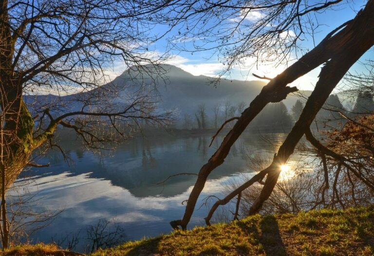 Riflessi di quiete: dialogo tra lago, cielo e luce tra rami inclinati