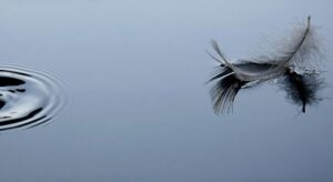 Leggerezza sull’acqua: silenzio, vela in volo e cerchi d’acqua bilanciano la grafica