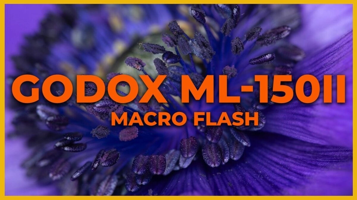 Godox ML-150 II: La mia esperienza d'uso con un Flash Macro Universale!