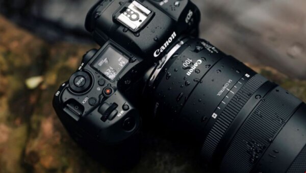 Fotografia Macro con la Canon EOS R6 Mark II + RF 100mm Macro F2.8 L e luci LED Nanlite