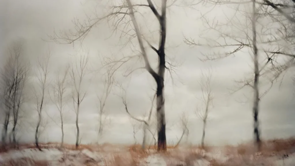 Todd Hido e Henri Prestes: Paesaggi notturni